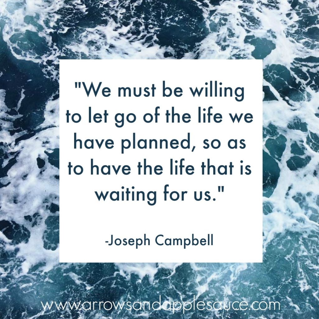 After years of infertility treatments, medications, and finally a failed IVF we became determined to grow our family through adoption.