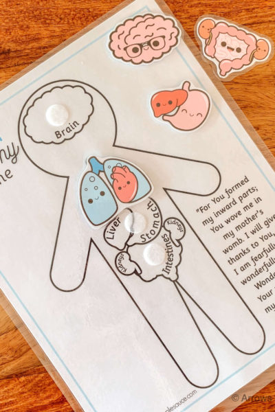 Learning about the human anotomy is fun and easy for kids with My First Anatomy game. Identify, match, and learn! We are fearfully and wonderfully made! #aboutme #anatomygame #preschoolscience #homeschoolprintables #humananatomy #busybindergame #filefoldergame #preschoolathome #kindergartenprintables #anatomyactivities #educationalprintables #fearfullyandwonderfullymade #kidsgames #homeschoolcurriculum