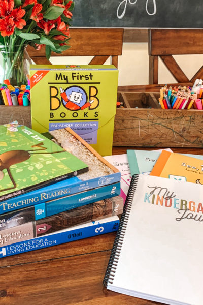 Here's a look through our curriculum picks for second grade and kindergarten for the 2021-22 school year! Enjoy! #homeschoolcurriculum #homeschoolkindergarten #homeschoolsecondgrade #homeeducation #curriculumpicks #masterbooks #kindergrtenjournal #earlyeducation #abcseeheardo #bobbooks #learningathome